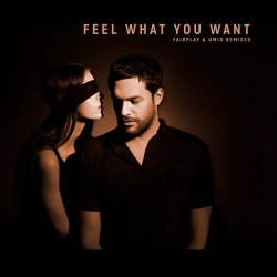 Обкладинка Phonique & Rebecca - Feel What You Want (Fairplay Remix)