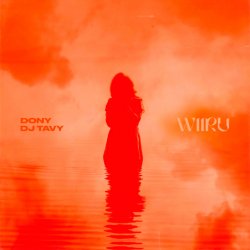 Обкладинка Dony & DJ TAVY - WIIRU