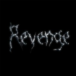 Обкладинка The Revenge - Every Night