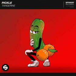 Обкладинка Pickle - Journey