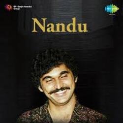 Обкладинка Nandu - Forever In Our Favor