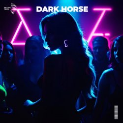 Обкладинка Slawd & Vallvete - dark horse (slowed + reverb)