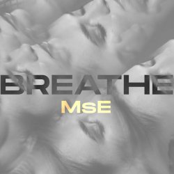Обкладинка MsE - Time to Let Go
