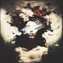 Обкладинка MsE - Crazy Night