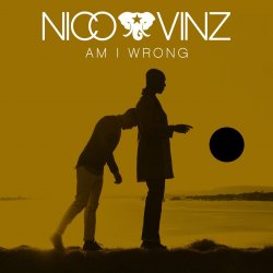 Обкладинка Nico & Vinz - Am I Wrong
