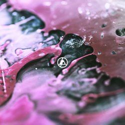 Обкладинка Linkin Park - Overflow