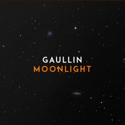 Обкладинка Gaullin - Moonlight