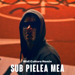 Обкладинка Carla's Dreams - Sub Pielea Mea