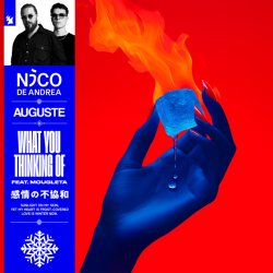 Обкладинка Nico de Andrea & AUGUSTE & Mougleta - What You Thinking Of