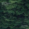 Bill Laswell - Outer Woo