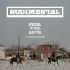 Обкладинка Rudimental - Feel the love (feat. John Newman) Rudimental - Feel the love (feat. John Newman)