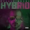 Обкладинка Hybrid - Break My Soul Hybrid - Break My Soul