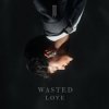 Обкладинка JJ - Wasted Love JJ - Wasted Love