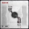 Sullivan King & Emorfik - Fury
