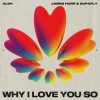 Обкладинка Alok - The Club Is Jumpin' Alok - The Club Is Jumpin'