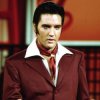 Обкладинка Elvis Presley - Can't Help Falling in Love Elvis Presley - Can't Help Falling in Love