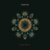 Обкладинка HAEVN & Lily Meola - Till the Morning HAEVN & Lily Meola - Till the Morning