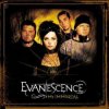 Evanescence - My Immortal (Album Version)