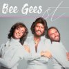 Bee Gees - The Bridge