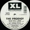 The Prodigy - Minefields (Monkey Mafia Mix)