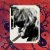 Cover Patrick Cowley - Invasion