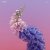 Обкладинка Flume Feat. Kai - Never Be Like You