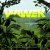 Cover Wiwek - Salute