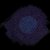 Cover Floating Points - Miniature 27