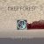 Обкладинка Deep Forest - Night Bird