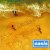 Обкладинка Oasis - All Around the World