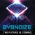 Cover Gysnoize - Pain