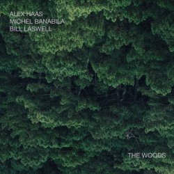 Обкладинка Bill Laswell - Outer Woo
