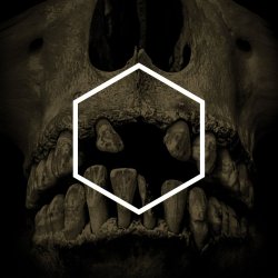 Обкладинка Lustmord - Insignificance