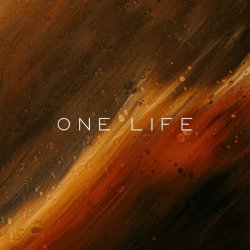 Обкладинка Vibessmusic - One Life (slowed by kirman)
