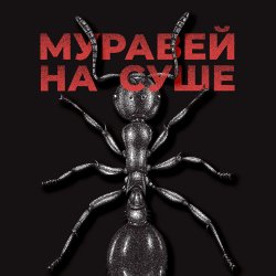 Обкладинка KRBK - Муравей на суше