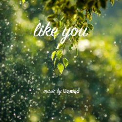 Обкладинка LiQWYD - Like You