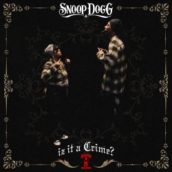 Обкладинка Snoop Dogg feat. Stresmatic - ShutYoBitchAssUp