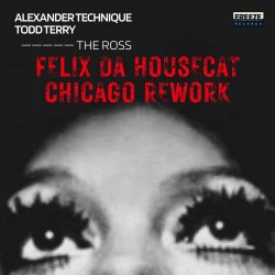 Обкладинка Felix Da Housecat - What Does It Feel Like