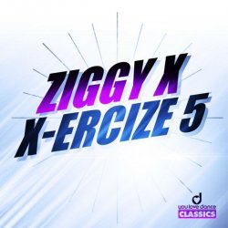 Обкладинка Ziggy X - Vikinx