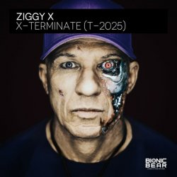 Обкладинка Ziggy X - Connexion