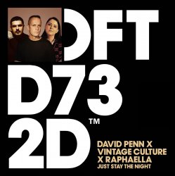 Обкладинка David Penn & Raphaella & Vintage Culture - Just Stay The Night
