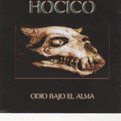 Обкладинка Hocico - Silent Crow