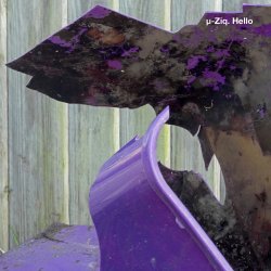 Обкладинка U-Ziq - Mushroom Compost
