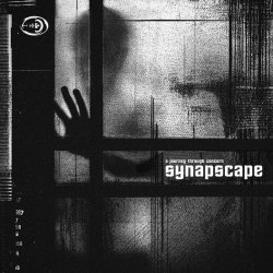 Обкладинка Synapscape - Spill