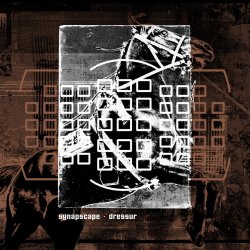 Обкладинка Synapscape - Discorrode