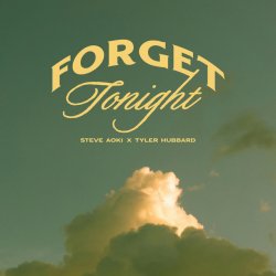 Обкладинка Steve Aoki - Forget Tonight (feat. Tyler Hubbard)