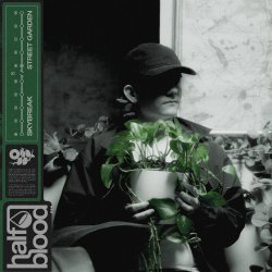 Обкладинка Skybreak - STREET GARDEN