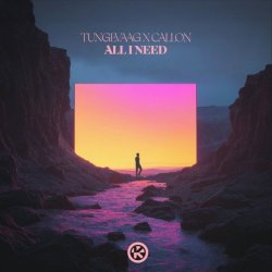 Обкладинка Tungevaag & Callon - All I Need