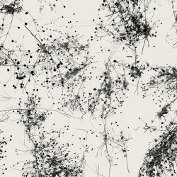 Обкладинка Taylor Deupree - Everything's Gone Grey