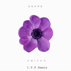 Обкладинка Agape - Квітка (I.T.F Remix)